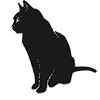 Profine Kattenassoritment