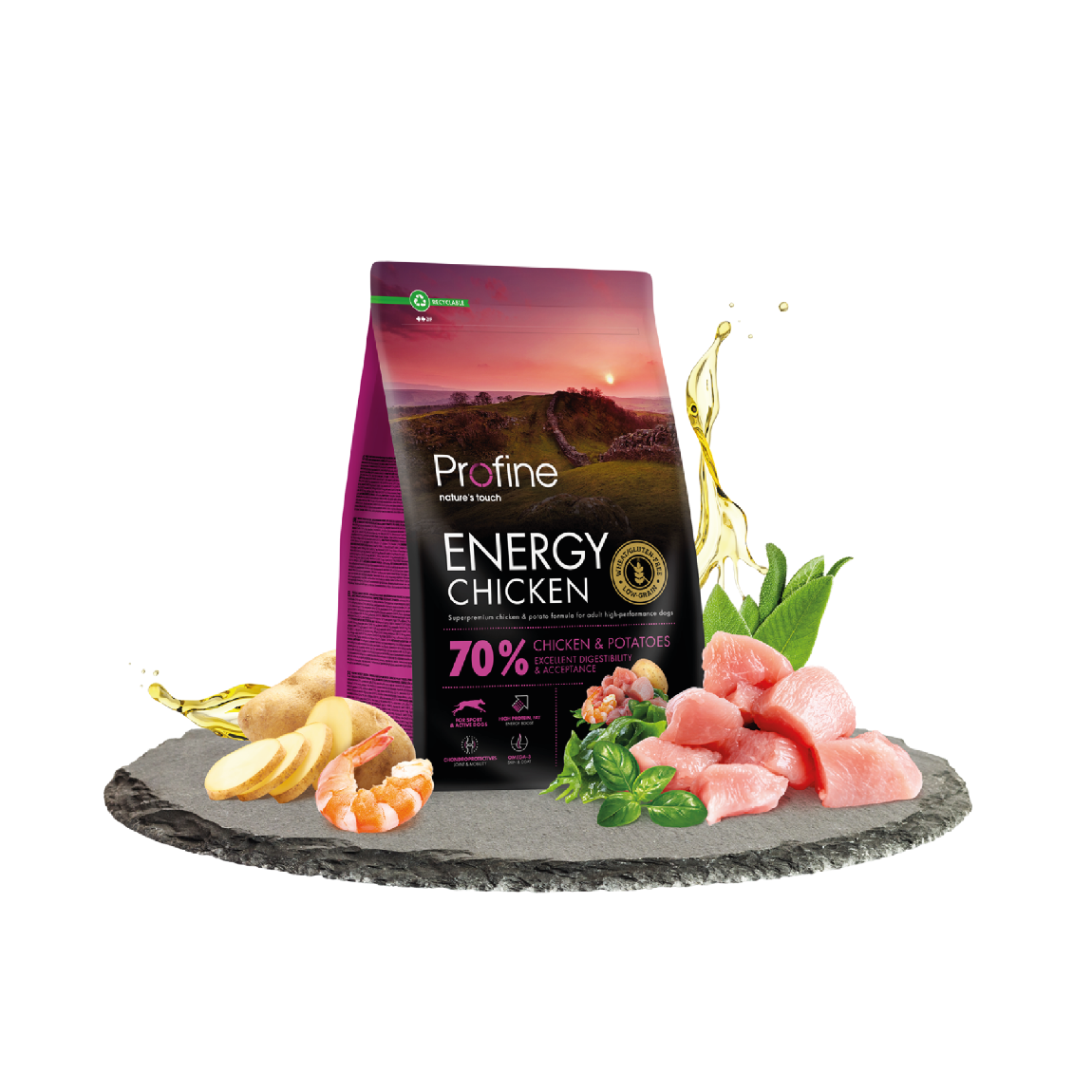 Profine Dog Dry Energy Pollo 3 kg