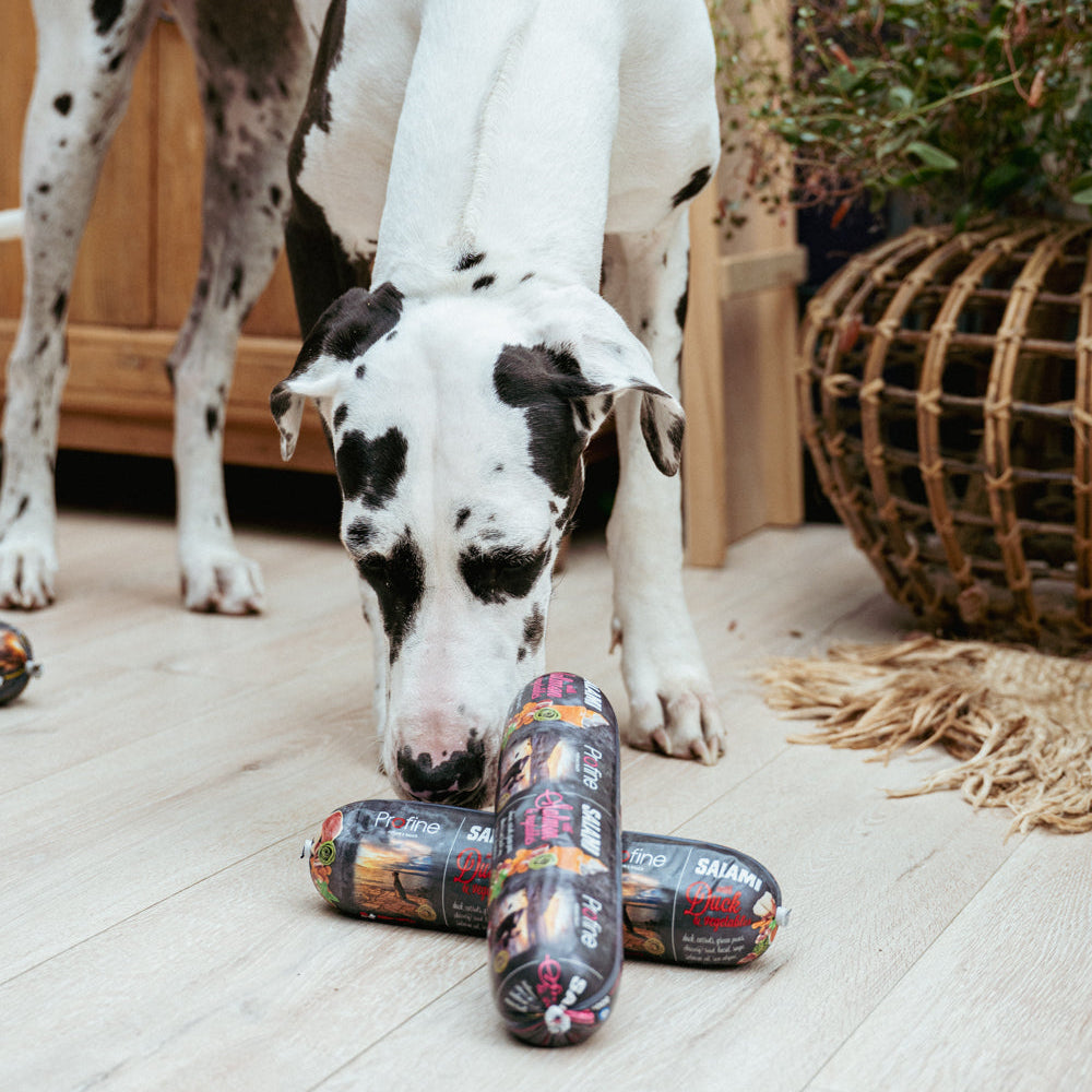Profine Salami Vleesworst voor Honden - Proeverij 5st / 4kg