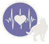 Condizione Cardiaca: