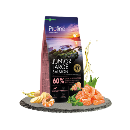 Profine Dog Dry Junior Large Breed Salmone 12 kg