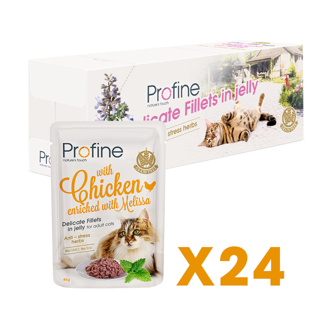 Profine Cat Adult Cat Pouch Fillets In Jelly met Kip - Natvoer voor Katten 24 x 85g