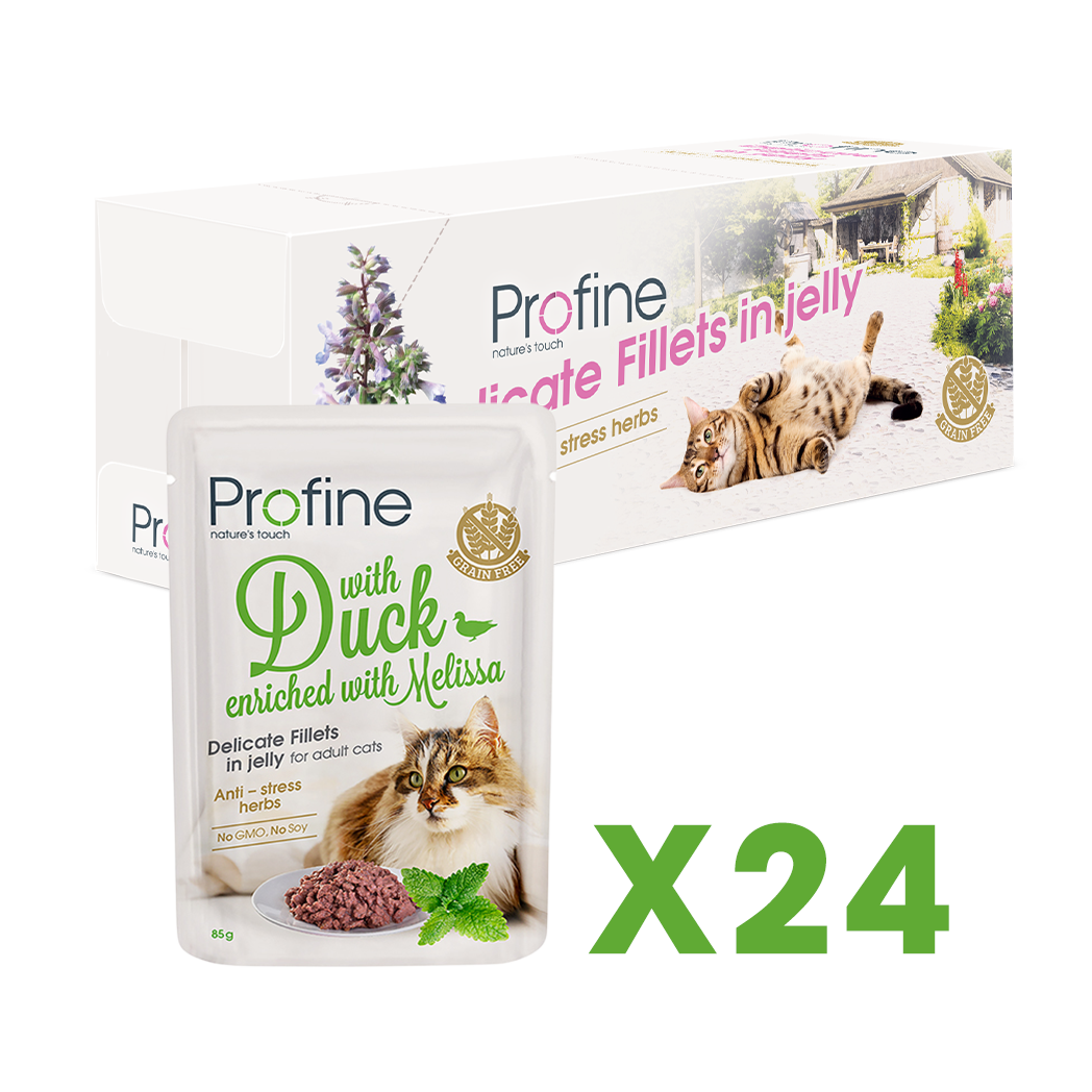 Profine Adult Cat Pouch Fillets In Jelly met Eend - Natvoer voor Katten - 24 x 85g