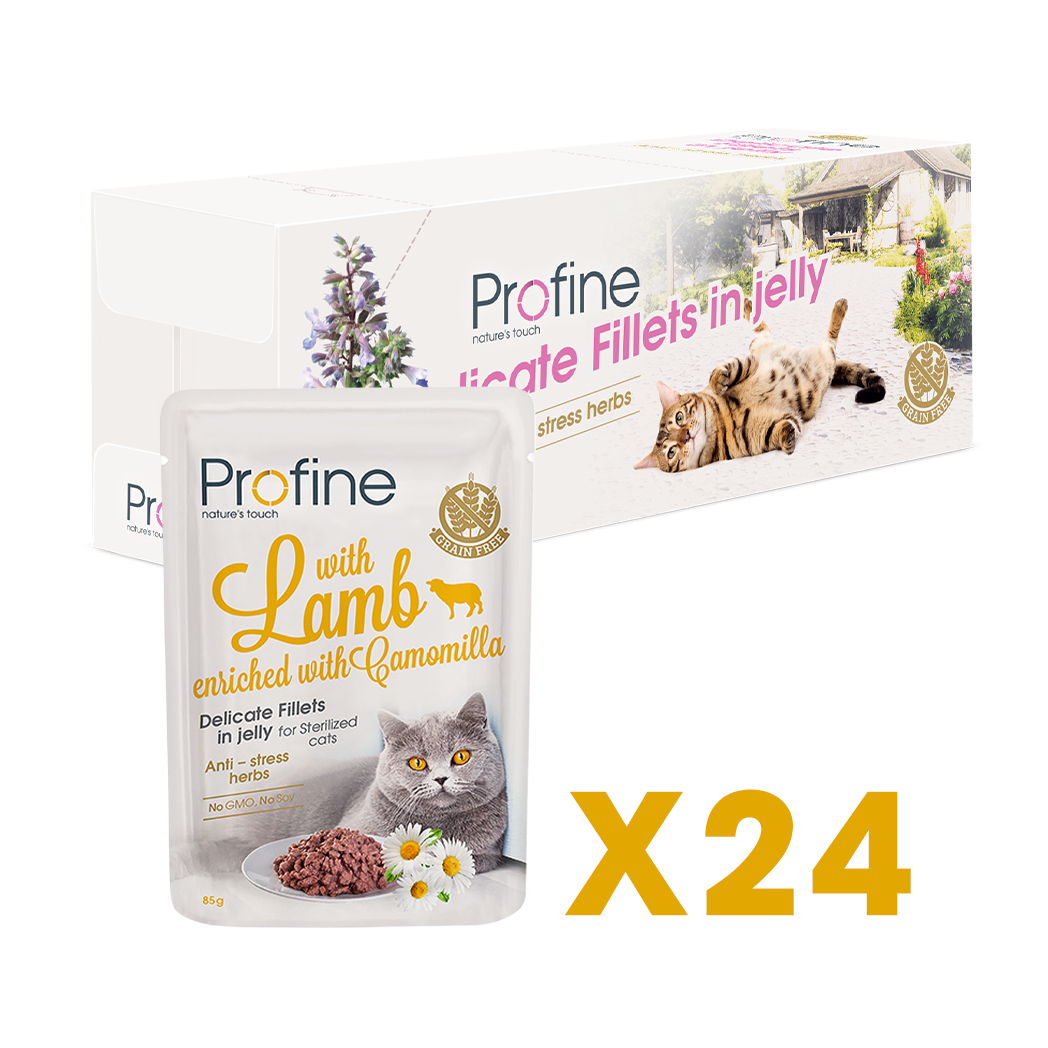 Profine Cat Sterilized Pouch Fillets In Jelly met lam - Natvoer voor Katten 24 x 85g