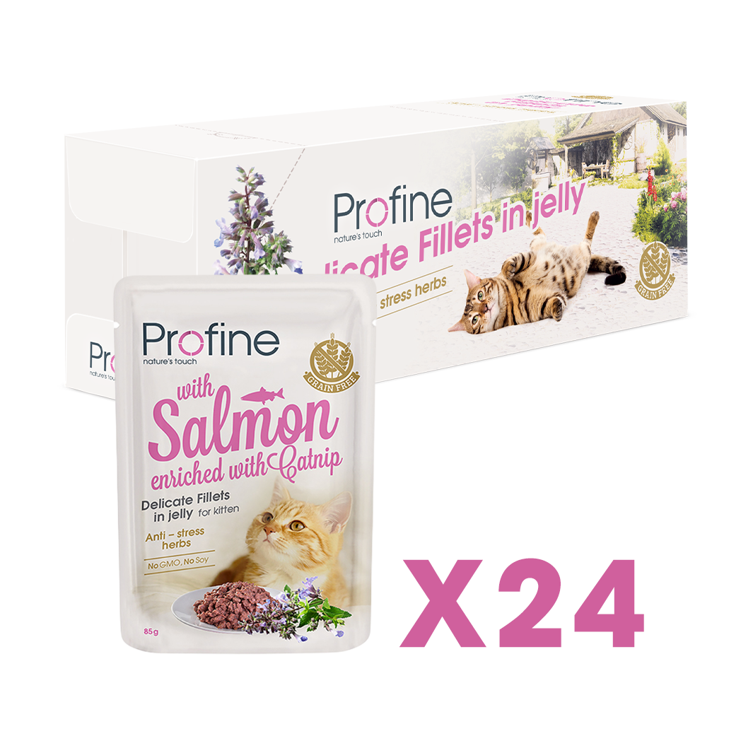 Profine Kitten Pouch Fillets In Jelly met Zalm 85 gram - Natvoer voor Kittens 24 x 85g
