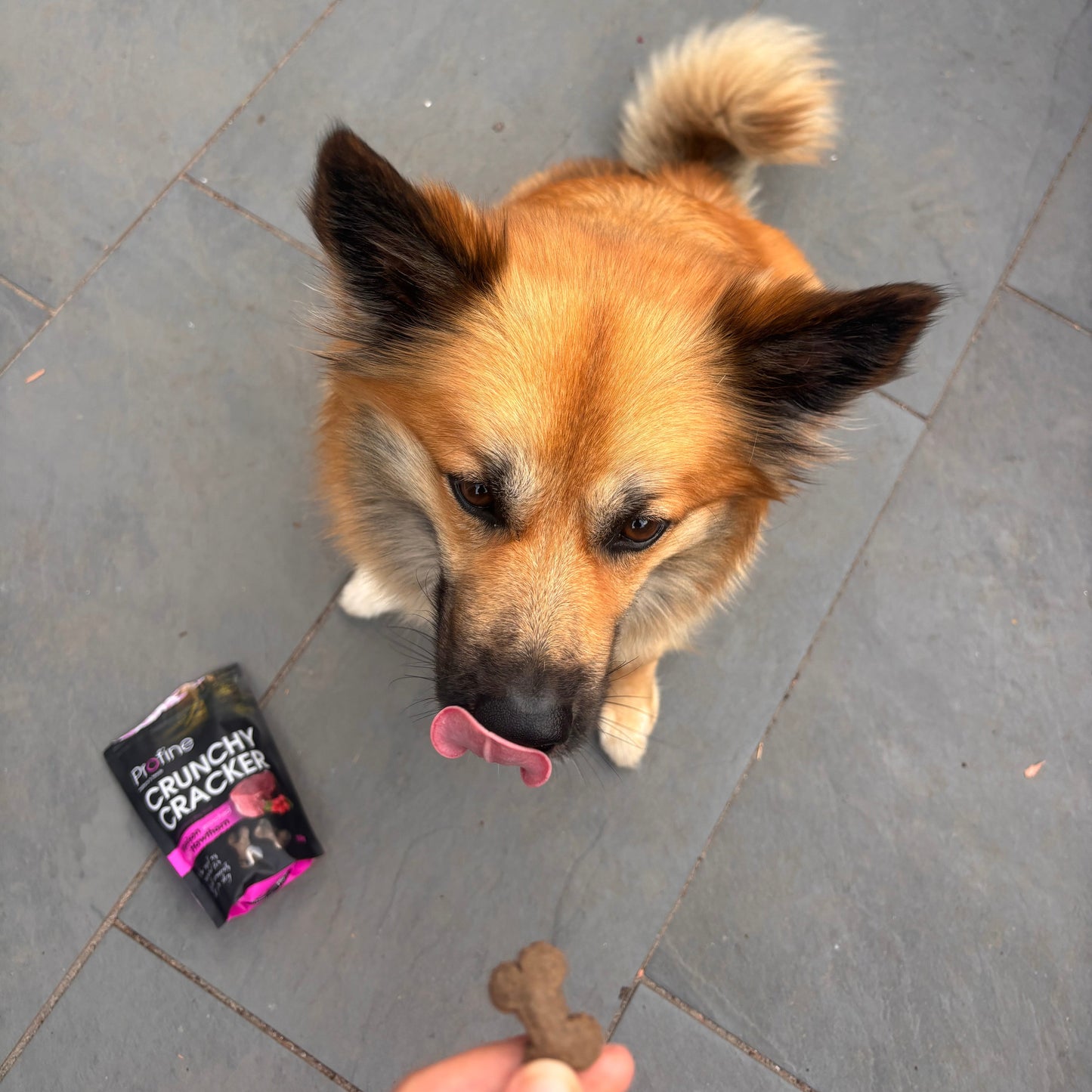 Profine Dog Crunchy Cracker Hert 150g