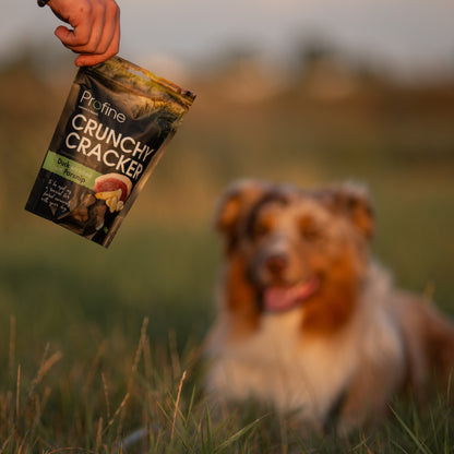 Profine Hund Crunchy Cracker Snack-Bundle 4 x 150g