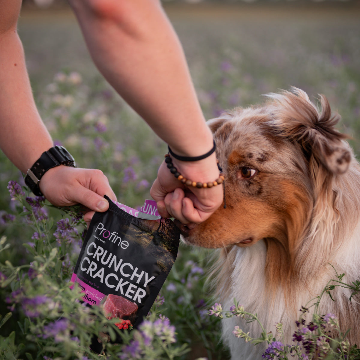 Profine Dog Crunchy Cracker Hert 150g