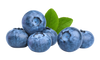 Sapori Unici